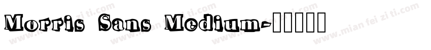 Morris Sans Medium字体转换